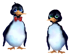 pinguini bacio.gif